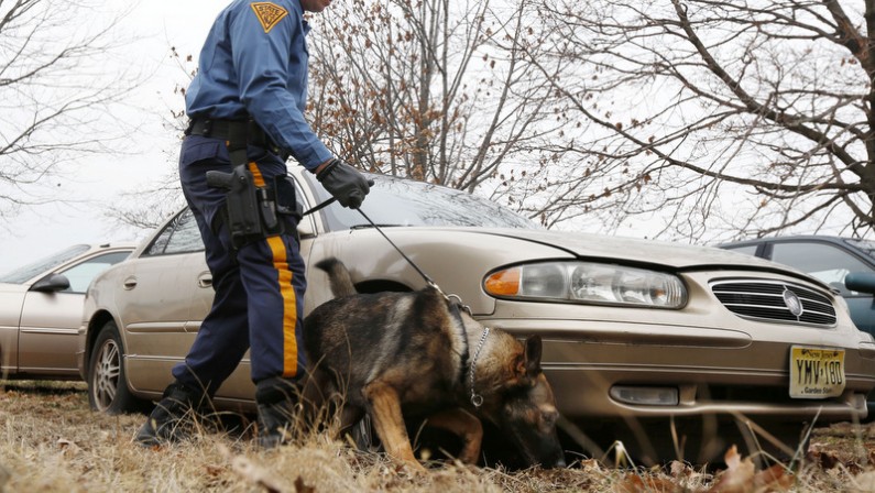 New Jersey State Police trooper Chris Pastor works with his police dog, Odin, as they search for evidence on a vehicle during a training exercise at the New Jersey Department of Public Works, Tuesday, Jan. 29, 2013. (AP Photo/Julio Cortez)