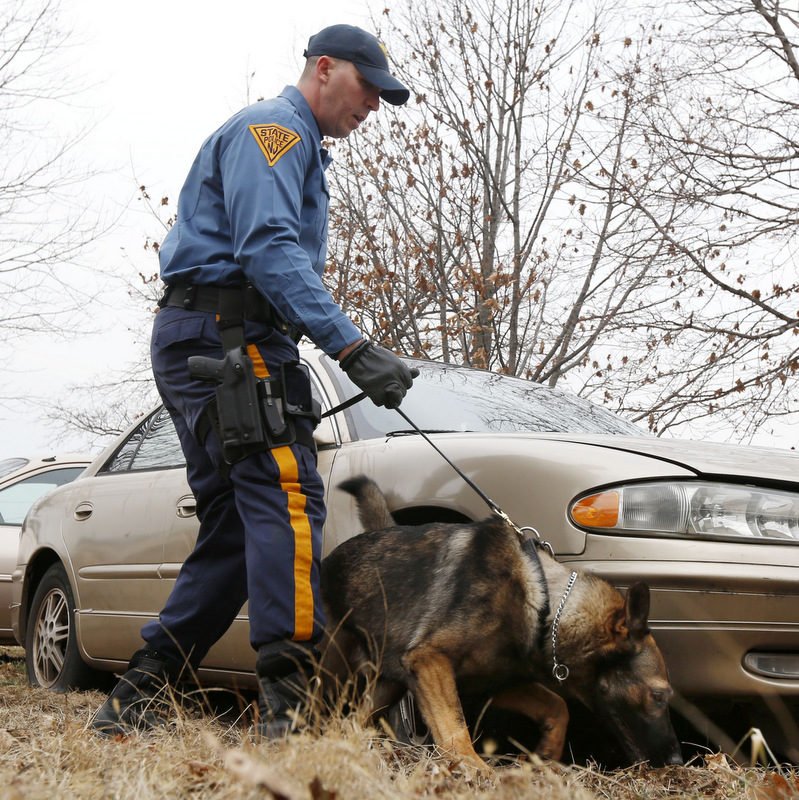 SCOTUS Rules Unreasonably Prolonged K-9 Searches Consitute “Illegal Detention”