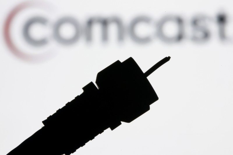 a silhouetted coaxial cable