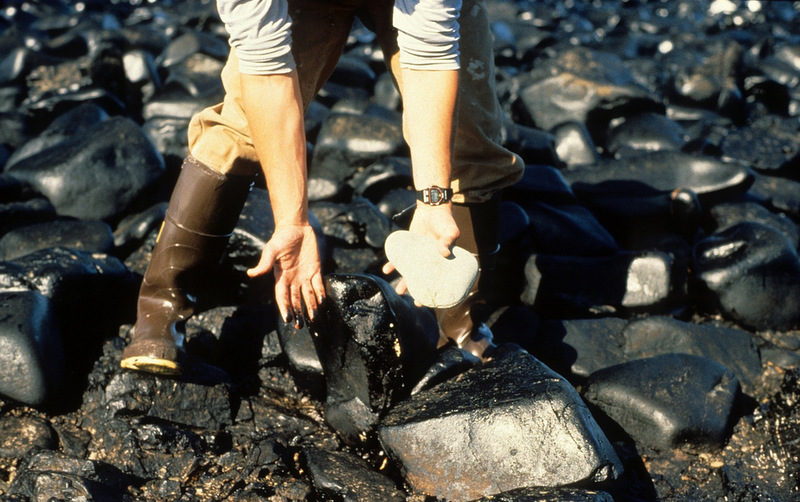 25 Years Later, Exxon Valdez Spill Still A Problem