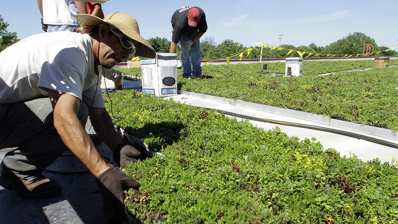 Green Roof Illinois