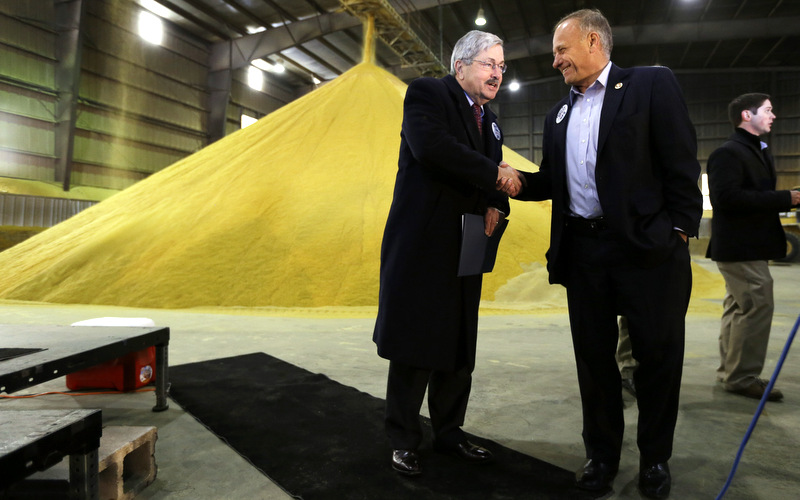 Terry Branstad, Steve King