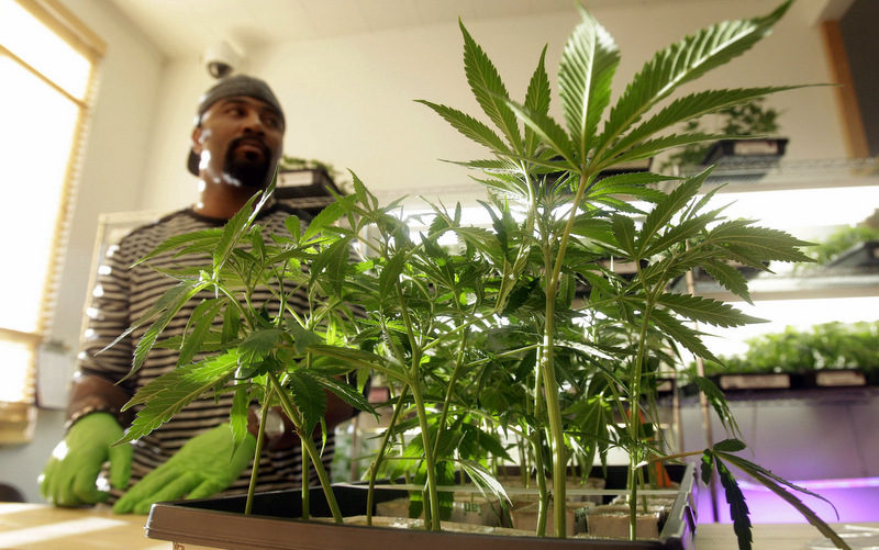 Police And Prison Guards Fight Calif. Marijuana Legalization With Big Money