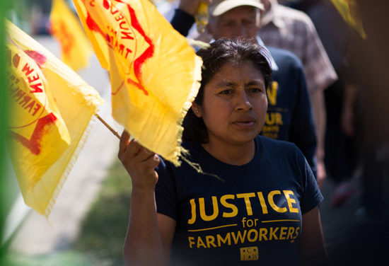 In ‘Fair Food’ Fight, Florida Farmworkers Take On Industry