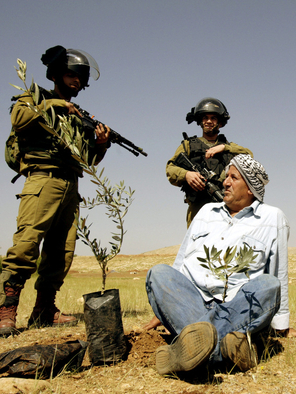 A Palestinian farmer looks at Israeli army soldiers after he planted an olive trees near the West Bank town of Tubas in the Jordan valley, during a protest against the closure of land to Palestinians by the army and Jewish settlers, Tuesday, April 8, 2014. (AP/Mohammed Ballas)