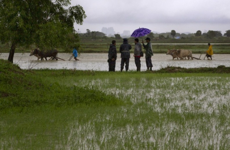 HOLD TO GO WITH STORY SLUGGED MYANMAR WHOSE LAND - In this June 5, 2013 photo, farmers prepare the soil for planting rice in a field which was confiscated in 1992 by the Myanmar security forces in Dala, southeast of Yangon Myanmar. About three hundred farmers led by social-justice activists entered the 500-acres (2-square kilometer) land on June 5, 2013, and started preparing the soil for paddy cultivation defying the government’s ban as navy officers watched armed with guns. Despite new freedoms in Myanmar, new laws are still used to punish protesters and small-scale farmers for protesting land grabs. (AP Photo/Gemunu Amarasinghe)