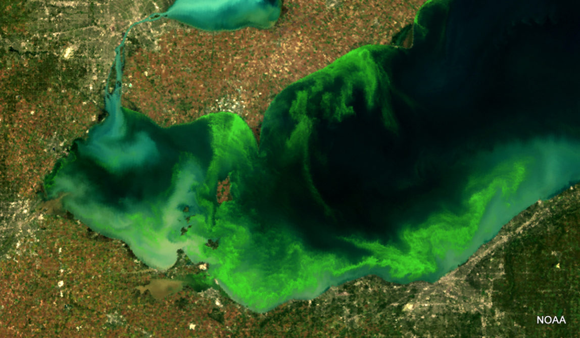 Toledo Water Problems