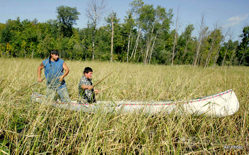 Food And Farm-Wild Rice