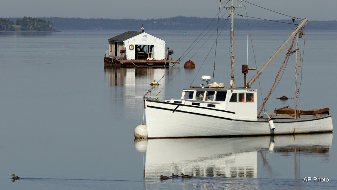 Experimental Green Energy Project Threatens Local Ecosystem