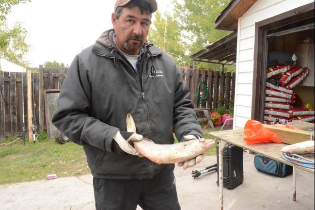 Alberta Tar Sands Pollution Suspected In Rare Cancer Cases