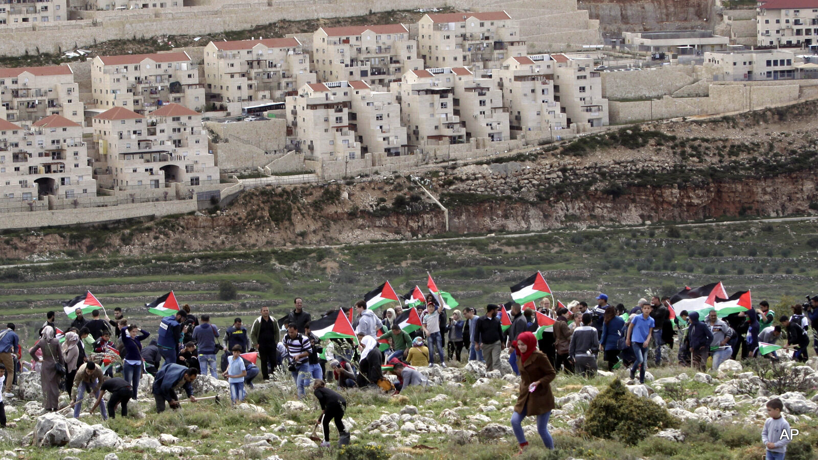Palestinian protesters carry national flags and plant olive trees facing the Israeli settlement of Beitar Illit during a protest marking Land Day, in the village of Wadi Fukin, near the West Bank city of Bethlehem, Monday, March 30, 2015.