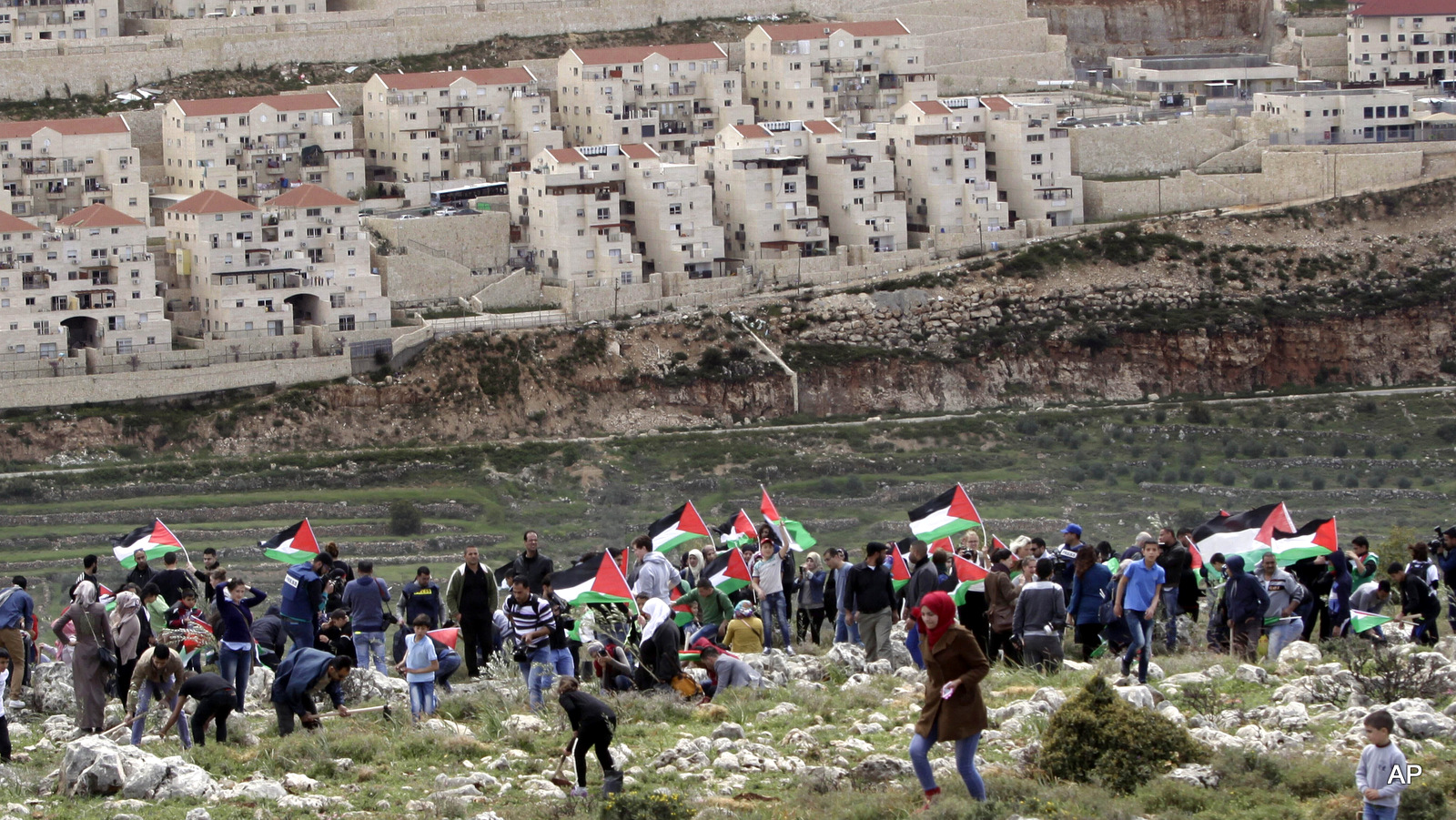 Palestinian protesters carry national flags and plant olive trees facing the Israeli settlement of Beitar Illit during a protest marking Land Day, in the village of Wadi Fukin, near the West Bank city of Bethlehem, Monday, March 30, 2015. 