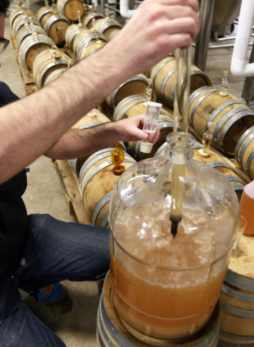 Co-Owner of Ardent Craft Ales, Kevin O'Leary, takes a sample of Persimmon beer at the facility in Richmond, VA., Tuesday, Dec. 2, 2014.