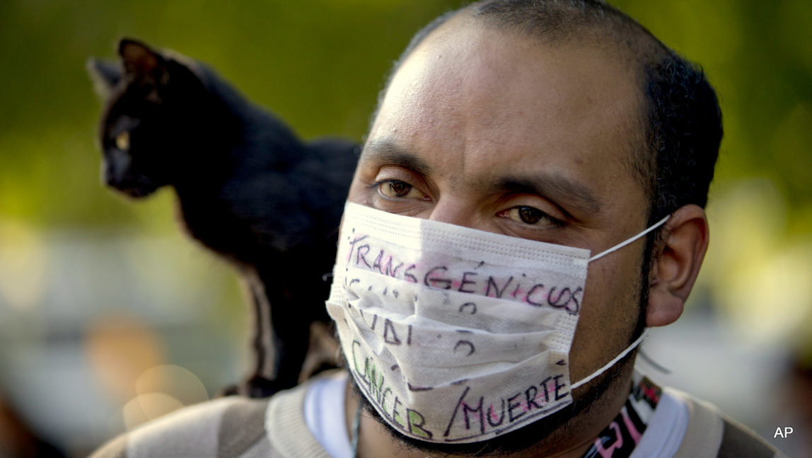 A man with a cat on his shoulder wears a mask covered by the words in Spanish "Transgenic, cancer/death"