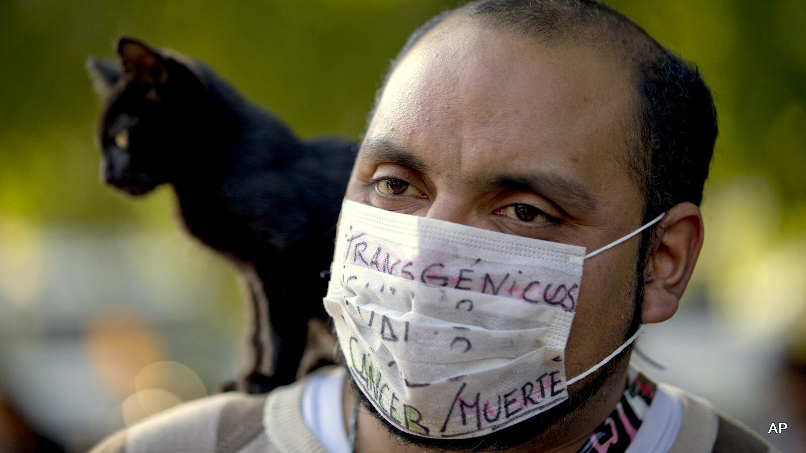 A man with a cat on his shoulder wears a mask covered by the words in Spanish "Transgenic, cancer/death"