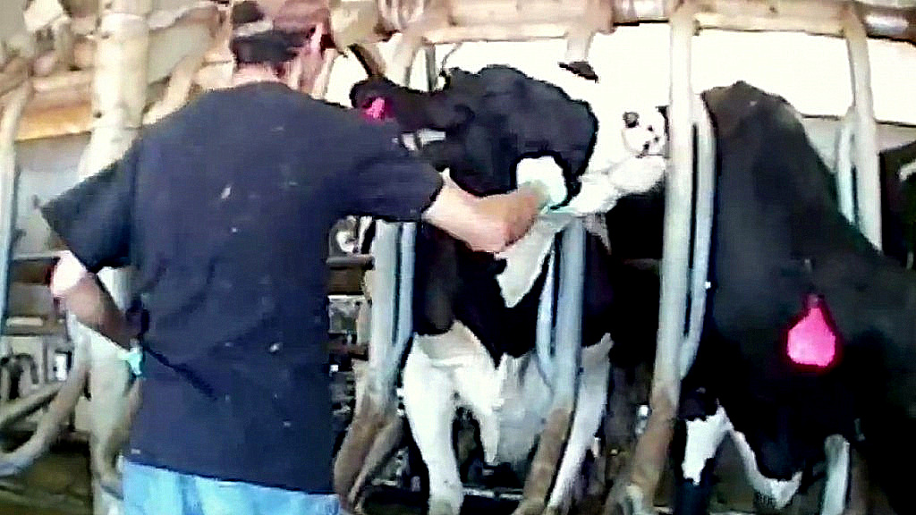 idaho-ag-gag-lawsuit-1025