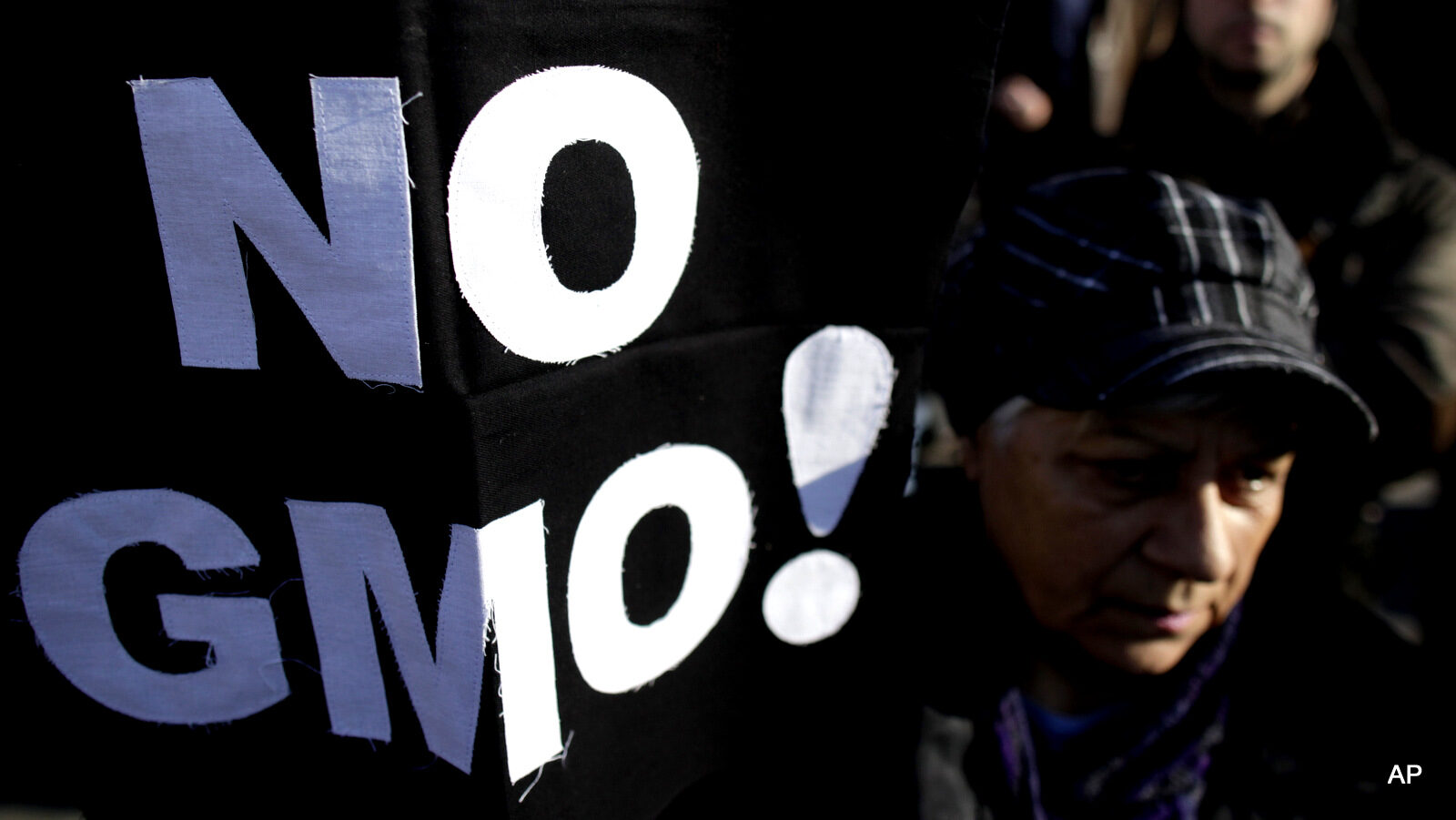 A woman attends a protest against genetically-modified foods as she holds a banner which reads: "No GMO!