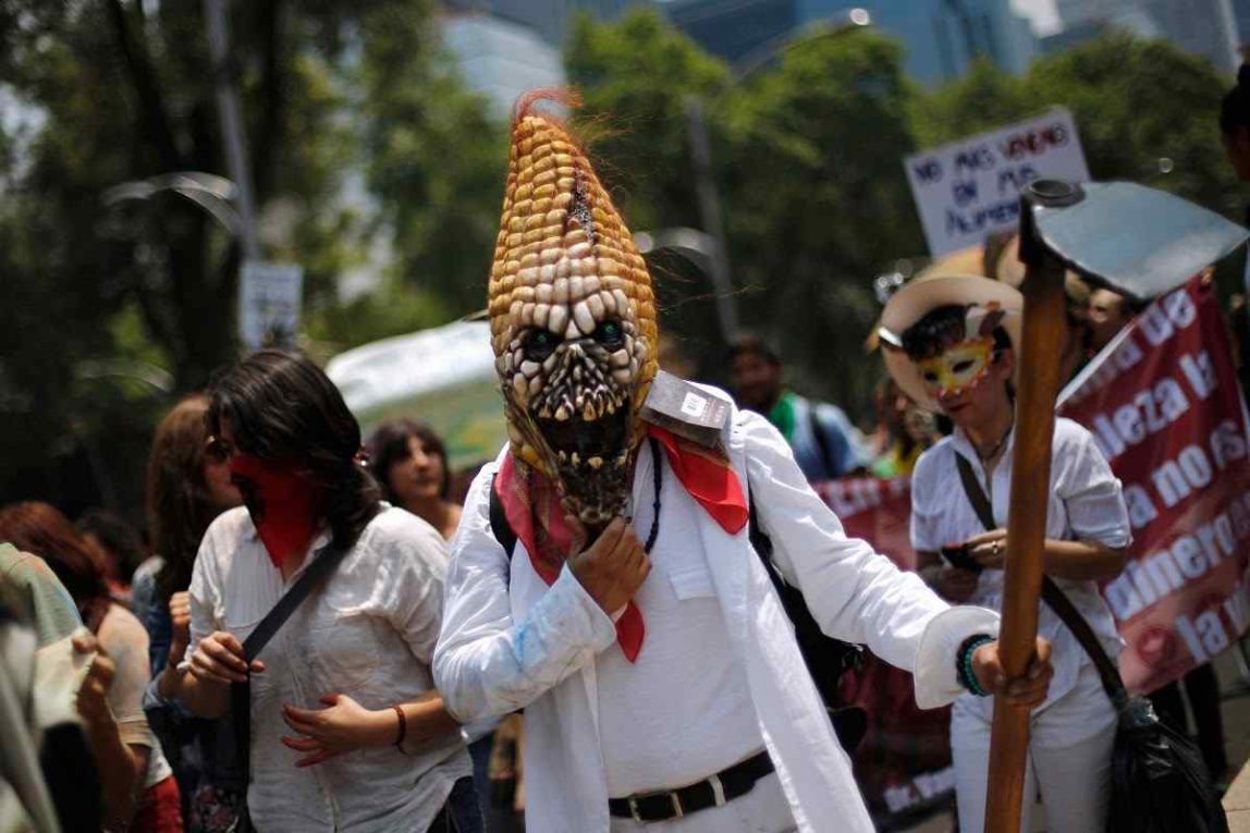 A protestor demonstrates against Monsanto in the annual world March Against Monsanto.