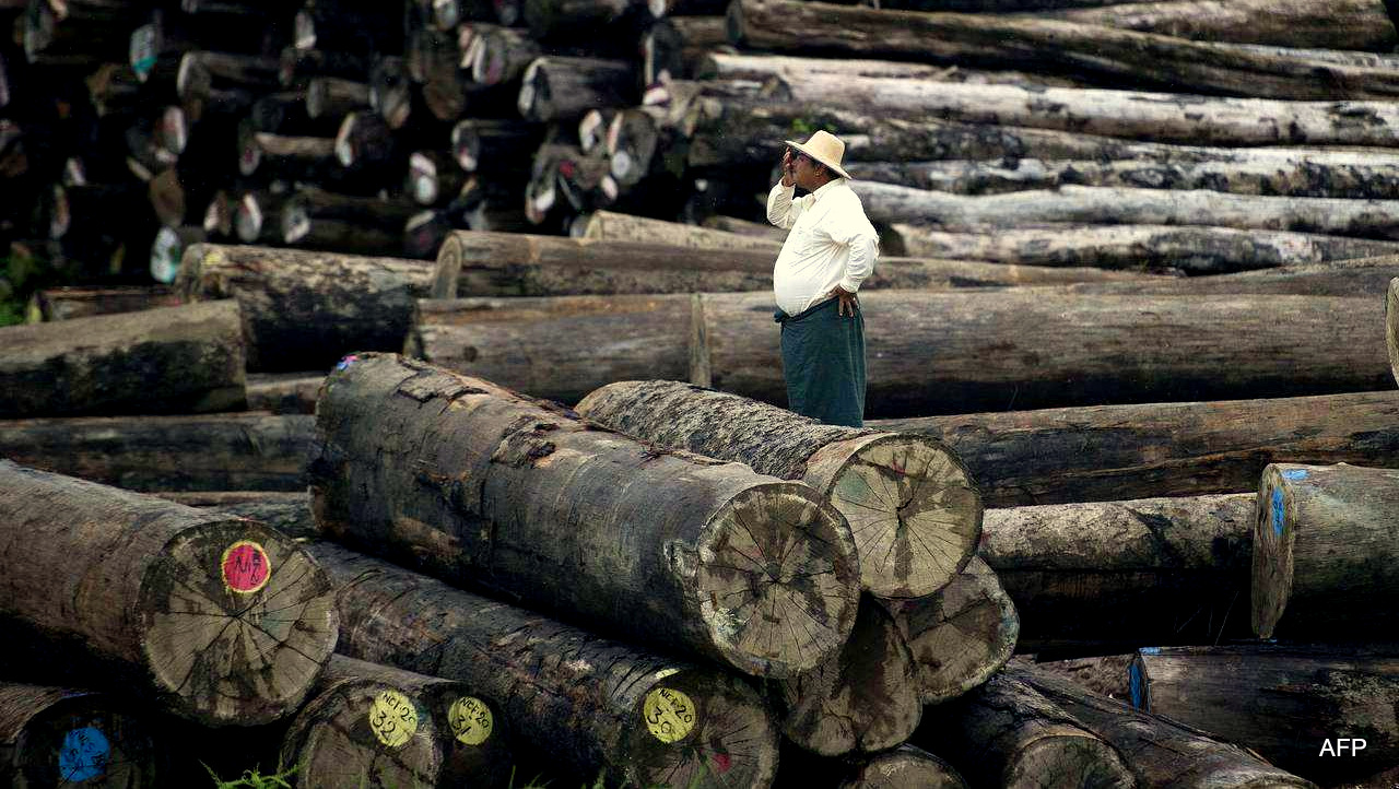 A worker stands amid a pile of logs at a holding area along the Yangon River on Thursday. Myanmar has adopted measures in recent years to rein in the illegal timber trade while demand remains robust for rosewood and teak.