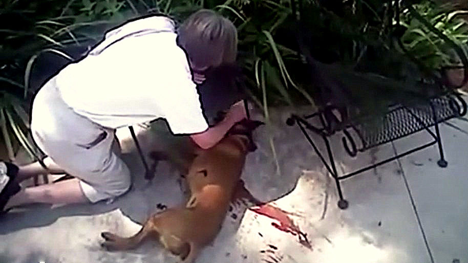 Disturbing Police Bodycam Shows Cop ‘Dispatch’ Family Dog During Alarm Check