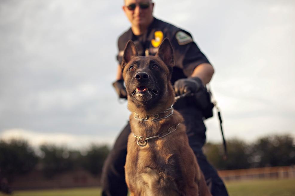 K-9-3