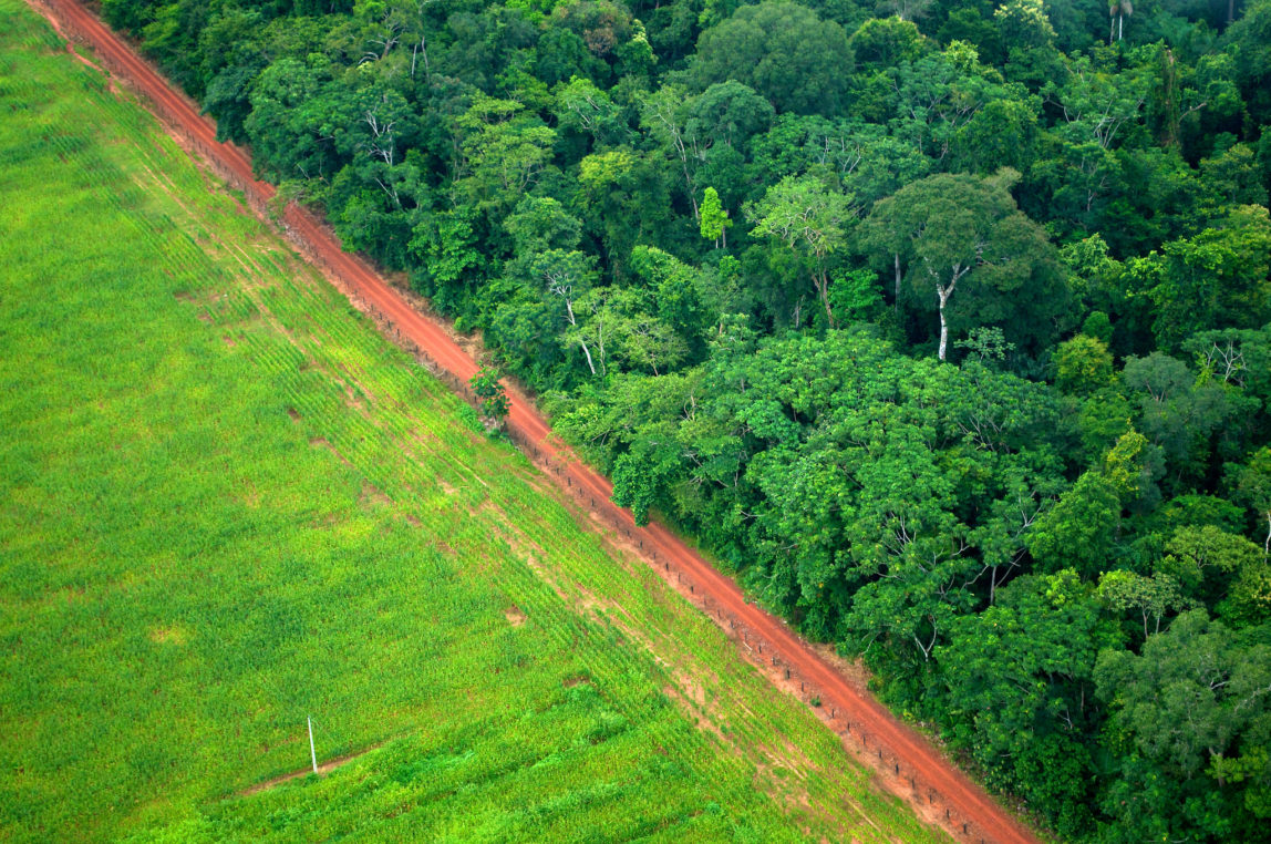 An aerial shot shows the contrast between forest and agricultural landscapes near Rio Branco, Acre, Brazil. (Flickr / Center For International Forestry Research / Kate Evans)