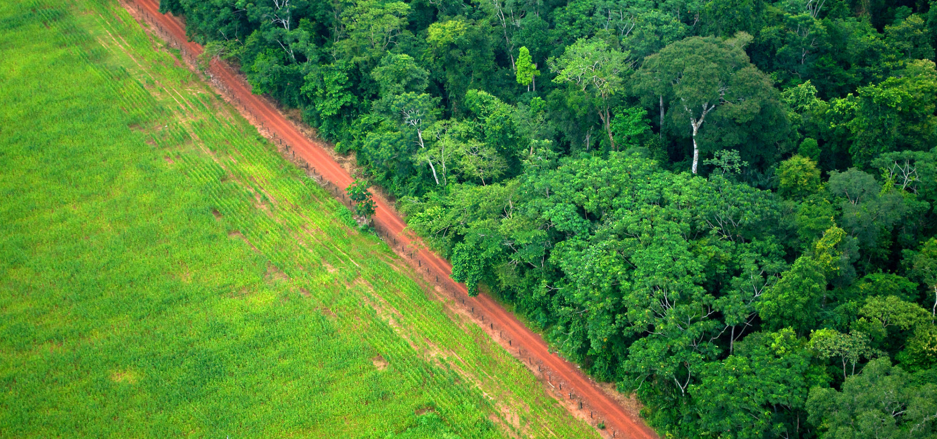An aerial shot shows the contrast between forest and agricultural landscapes near Rio Branco, Acre, Brazil. (Flickr / Center For International Forestry Research / Kate Evans)