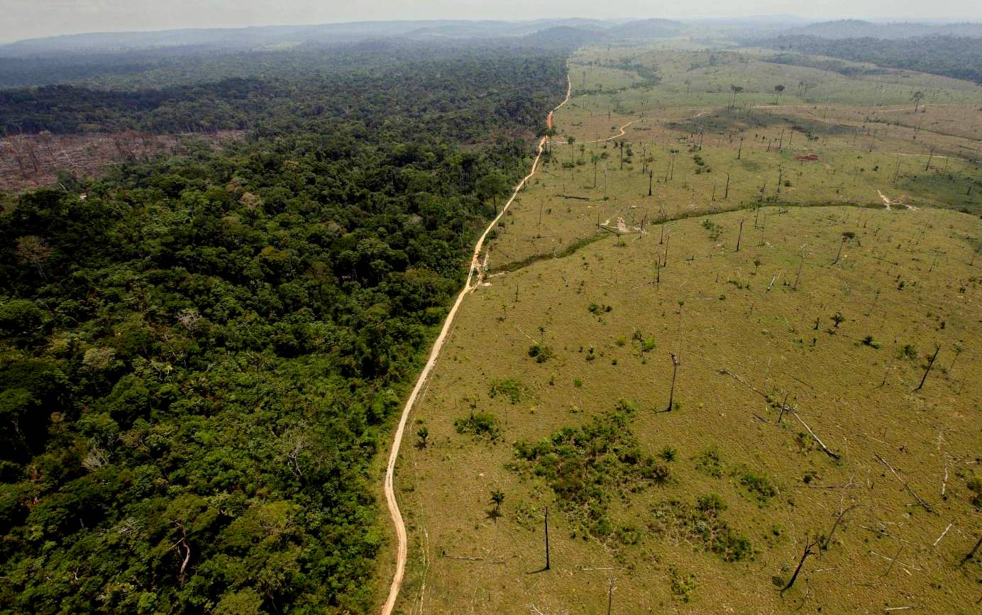 Strain forest: This file photo shows a deforested area near Novo Progresso in the northern Brazilian state of Para | AP
