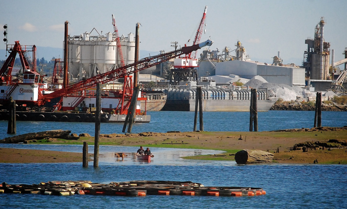 Seattle Sues Monsanto Over Toxic Waste Spill In Duwamish River
