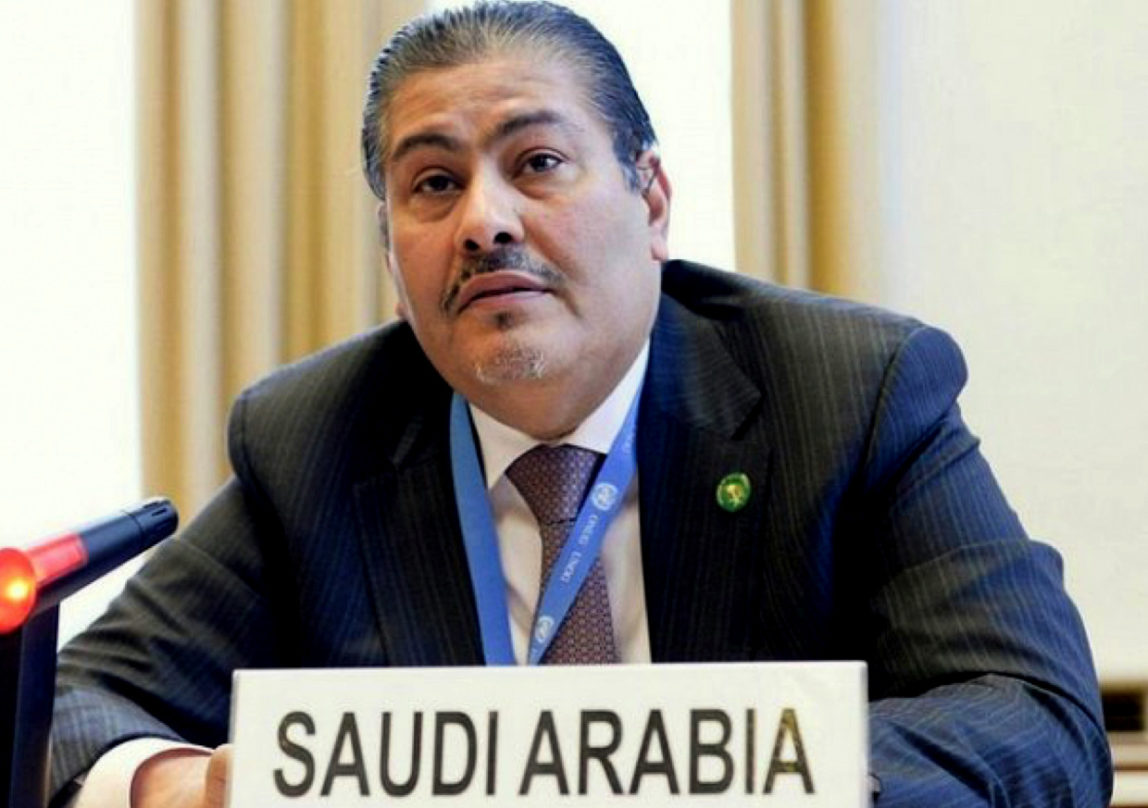 Newly elected chair of the UNHRC panel Faisal bin Hassan Trad.