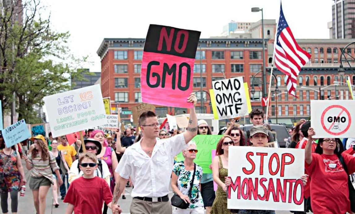 A scene from the March Against Monsanto in Denver, CO. (Photo: MAM)