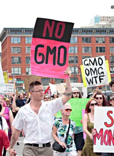 A scene from the March Against Monsanto in Denver, CO. (Photo: MAM)
