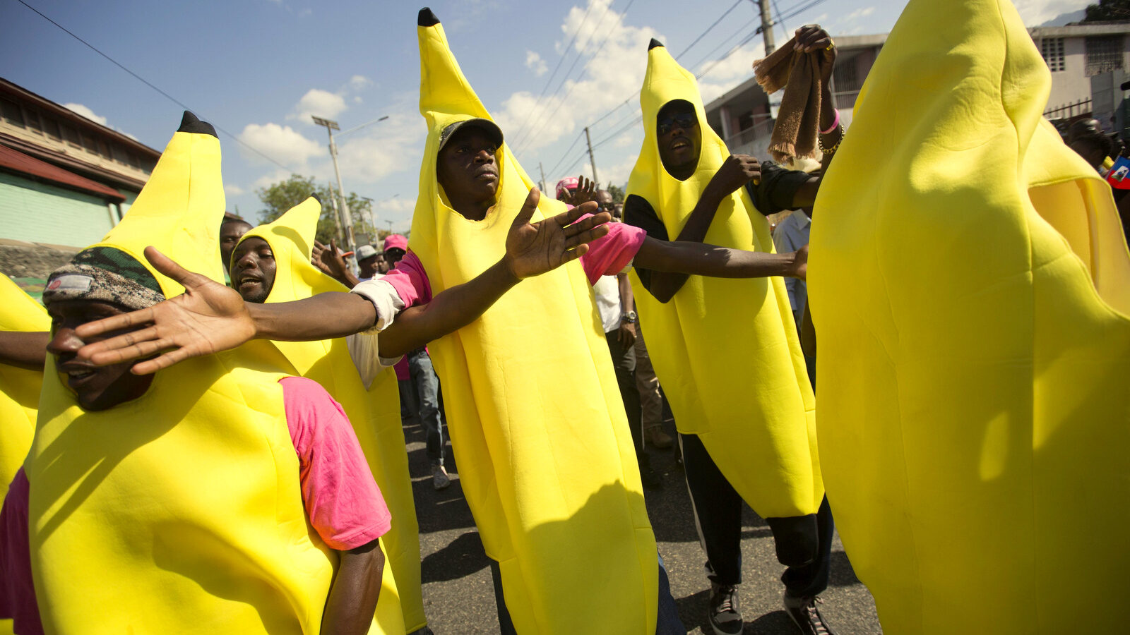 Haitians dressed as bananas to show their support for organic banana farmer and presidential candidate Jovenel Moise, from the PHTK party, march to demand elections be reinstated, in Port-au-Prince, Haiti, Tuesday, Feb. 2, 2016. Haiti had been scheduled to hold a presidential and legislative runoff Jan. 24. But the now-splintered provisional electoral council canceled it for a second time amid the protests and suspicion that the first round was marred by widespread fraud favoring Moise, President Michel Martelly's chosen candidate. (AP Photo/Dieu Nalio Chery)