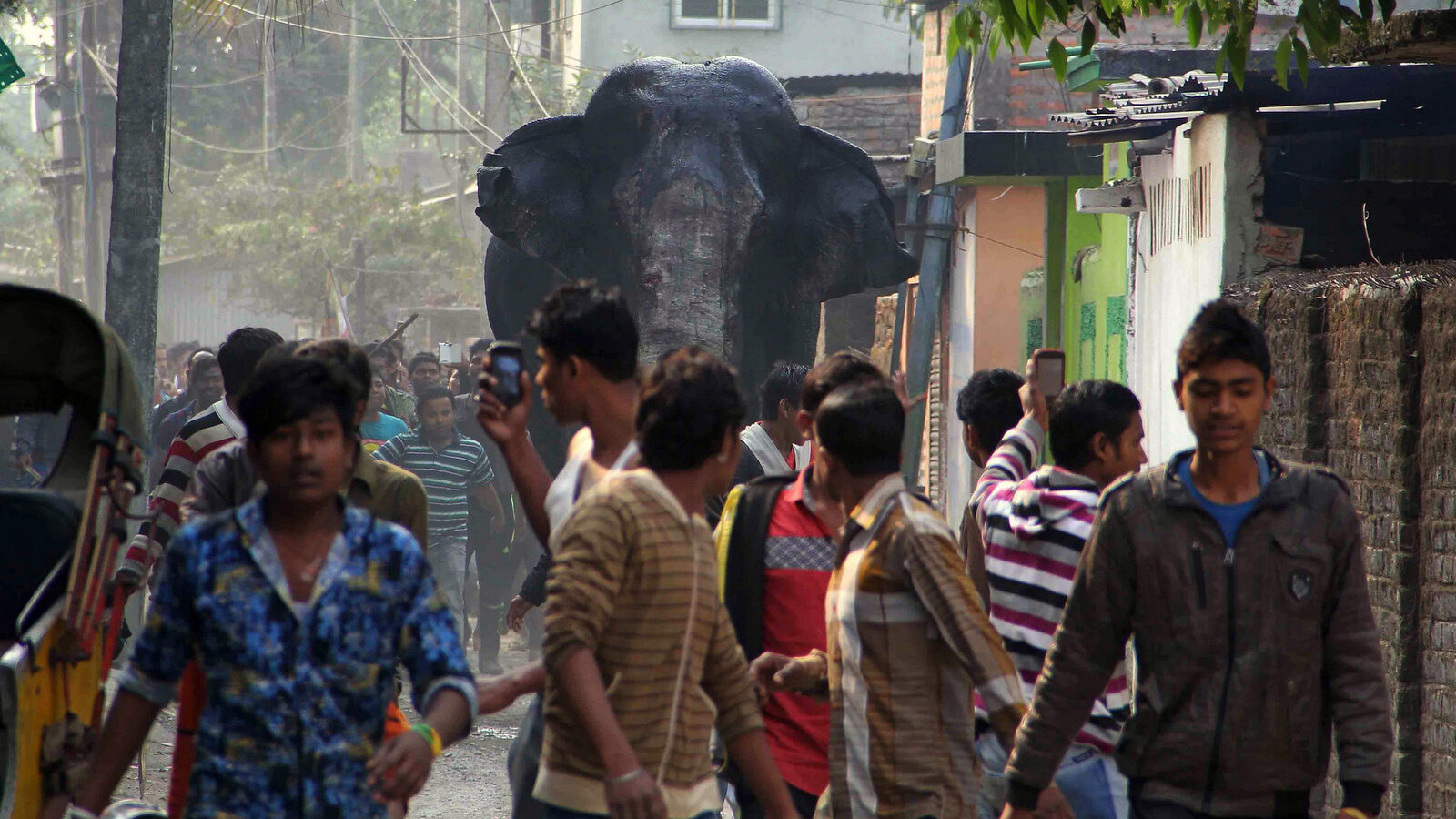 A wild elephant that strayed into the town moves through the streets as people follow at Siliguri in West Bengal state, India, Wednesday, Feb. 10, 2016. The elephant had wandered from the Baikunthapur forest on Wednesday, crossing roads and a small river before entering the town. The panicked elephant ran amok, trampling parked cars and motorbikes before it was tranquilized. (AP Photo)