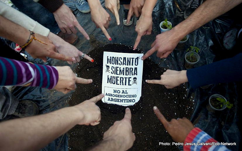 Activists raise public awareness about the consequences of using Monsanto herbicides in Argentina.