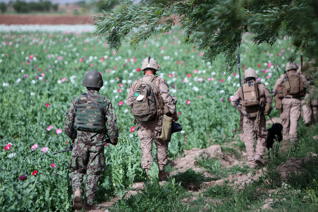 A squad of US Marines with Company B, 1st Tank Battalion patrols a poppy field in Helmand province, Afghanistan. John M. McCall | DVIDS