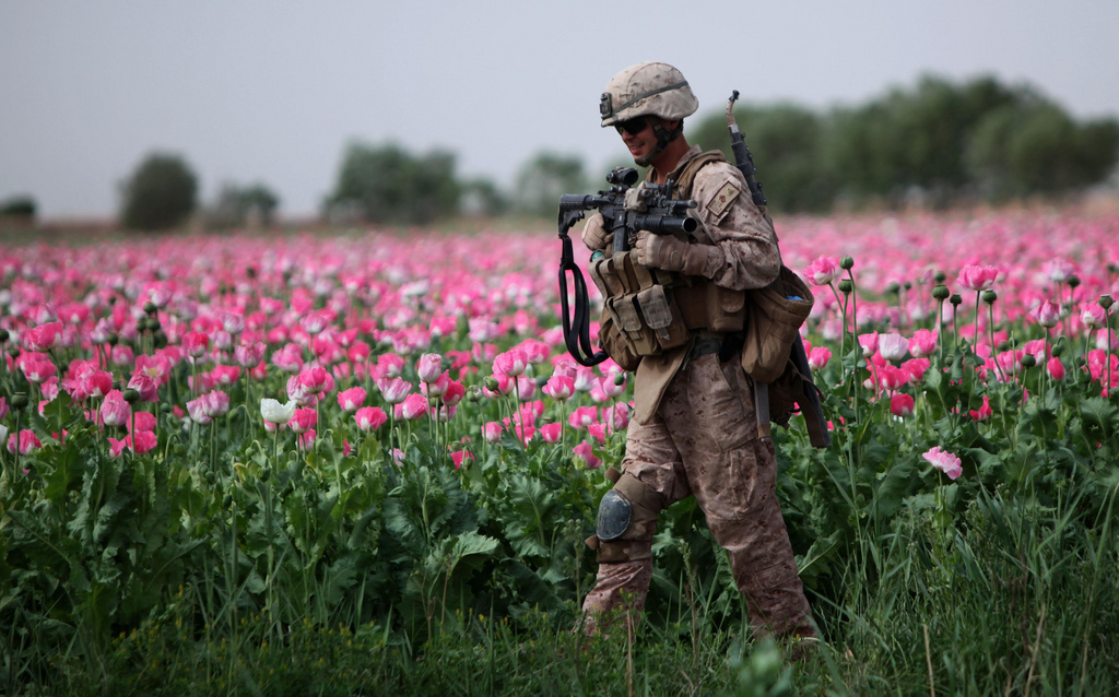 MARJAH, provincia de Helmand, Afganistán. El cabo Mark Hickok, un ingeniero de combate de 23 años de edad de North Olmstead, Ohio, patrulla a través de un campo de amapolas durante una misión de limpieza el 9 de abril (foto del Cuerpo de Marines de los EE. UU. Por el coronel John M. McCall)