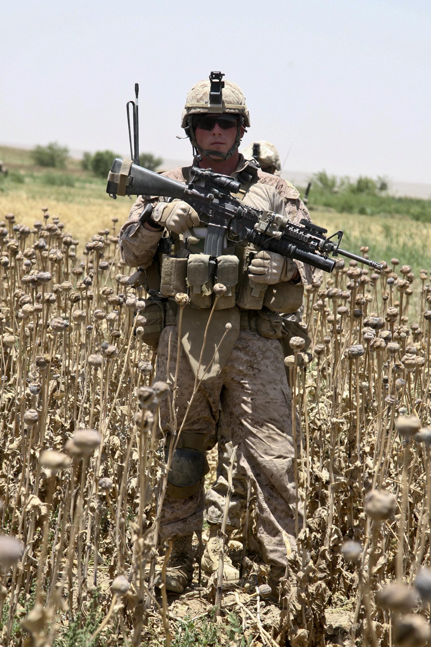 Cuerpo de Marines de los Estados Unidos Cpl. James K. Peters se encuentra en un campo de adormidera mientras realiza una patrulla a pie en Sangin, Afganistán, 19 de mayo de 2011. (Foto del Cuerpo de Marines de los EE. UU. Por el capitán Jeremy C. Harris / Lanzamiento)