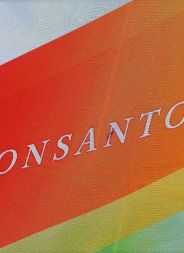 This Aug. 31, 2015, file photo, shows the Monsanto logo on display at the Farm Progress Show in Decatur, Ill. A former Monsanto Co. financial executive who tipped off regulators about the agribusiness giant's accounting practices involving rebates for its Roundup weed-killer will get nearly $22.5 million as a whistleblower, federal securities regulators announced Tuesday, Aug. 30, 2016