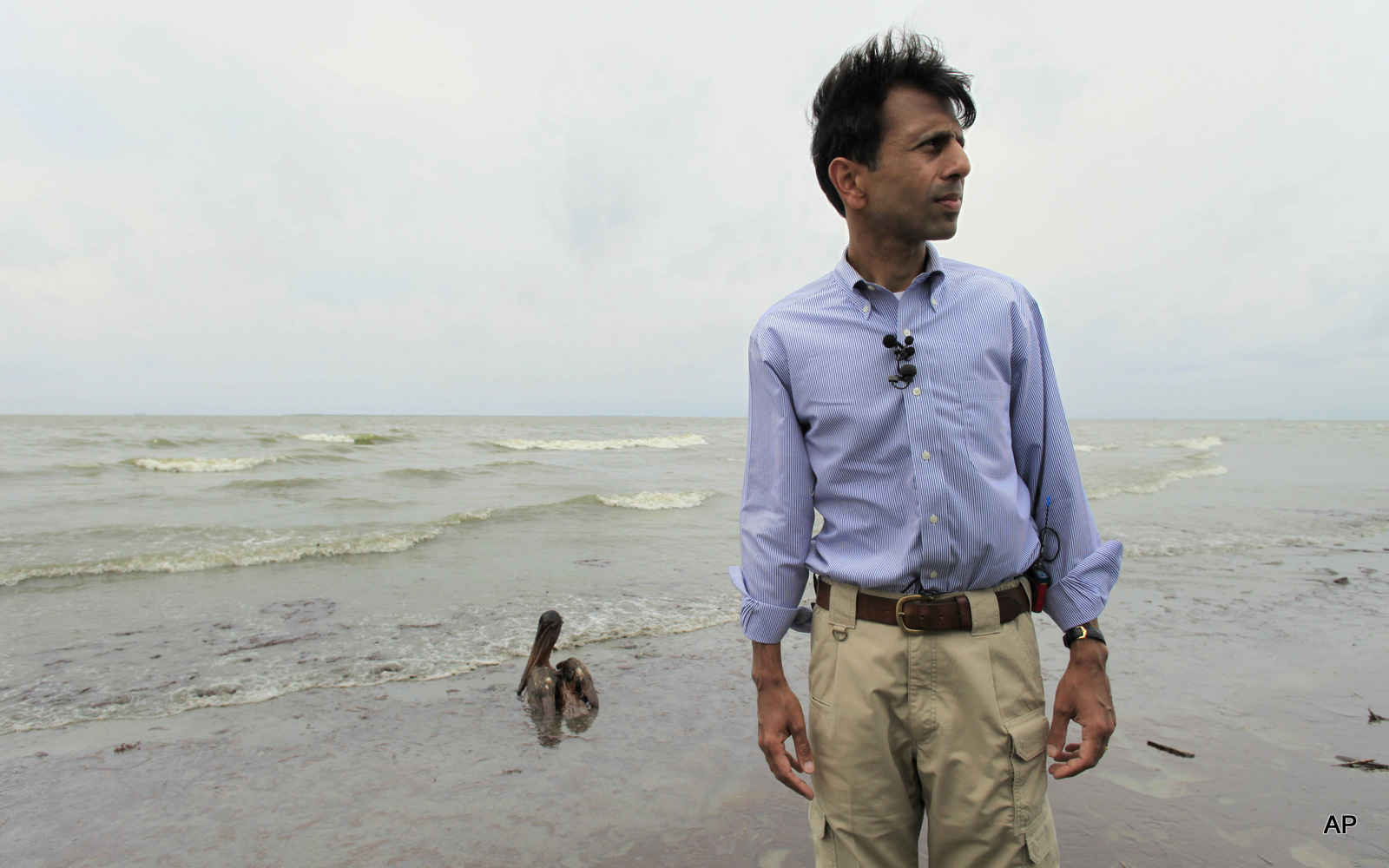 Then Louisiana Gov. Bobby Jindal stands with an oiled Brown Pelican on the beach at East Grand Terre Island along the Louisiana coast, June 3, 2010. 