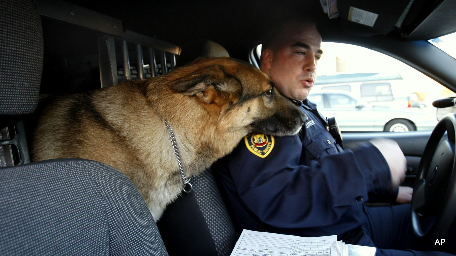 K9 officer John Greene and his dog Nitro sit in their car at the DPS station in Detroit before a chase. Some police K-9 vehicles are now equipped with alarms that are meant to alert officers when the vehicle starts heating up inside. But if alarms and air conditioning fail, temperatures can soar to dangerous heights in a matter of minutes, putting dogs’ lives at risk.