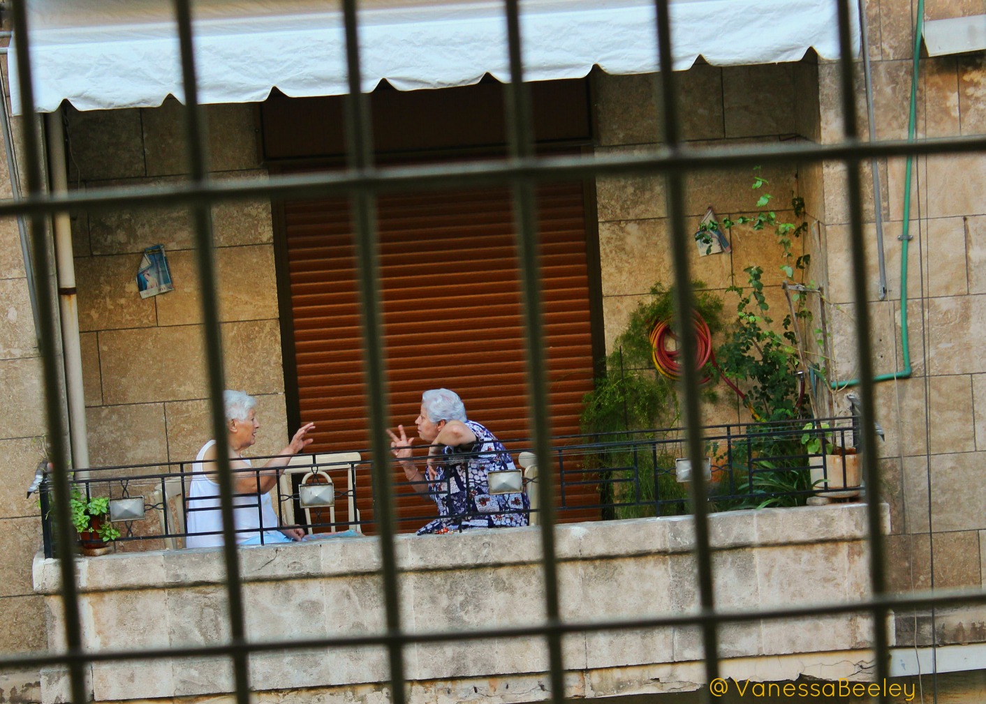 Two ladies have an animated chat at dawn in Aziziya, western Aleppo. (Photo by Vanessa Beeley)