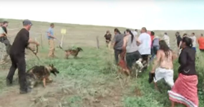 Dakota Access Pipeline Company Attacks Protesters With Dogs And Mace