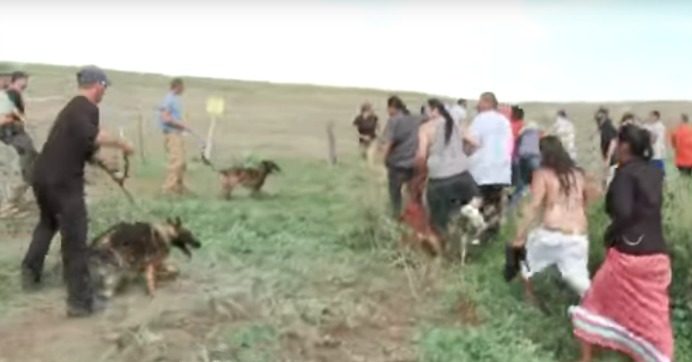 Security guards confront Indigneous protesters with dogs and pepper spray. (Screenshot/Democracy Now!)