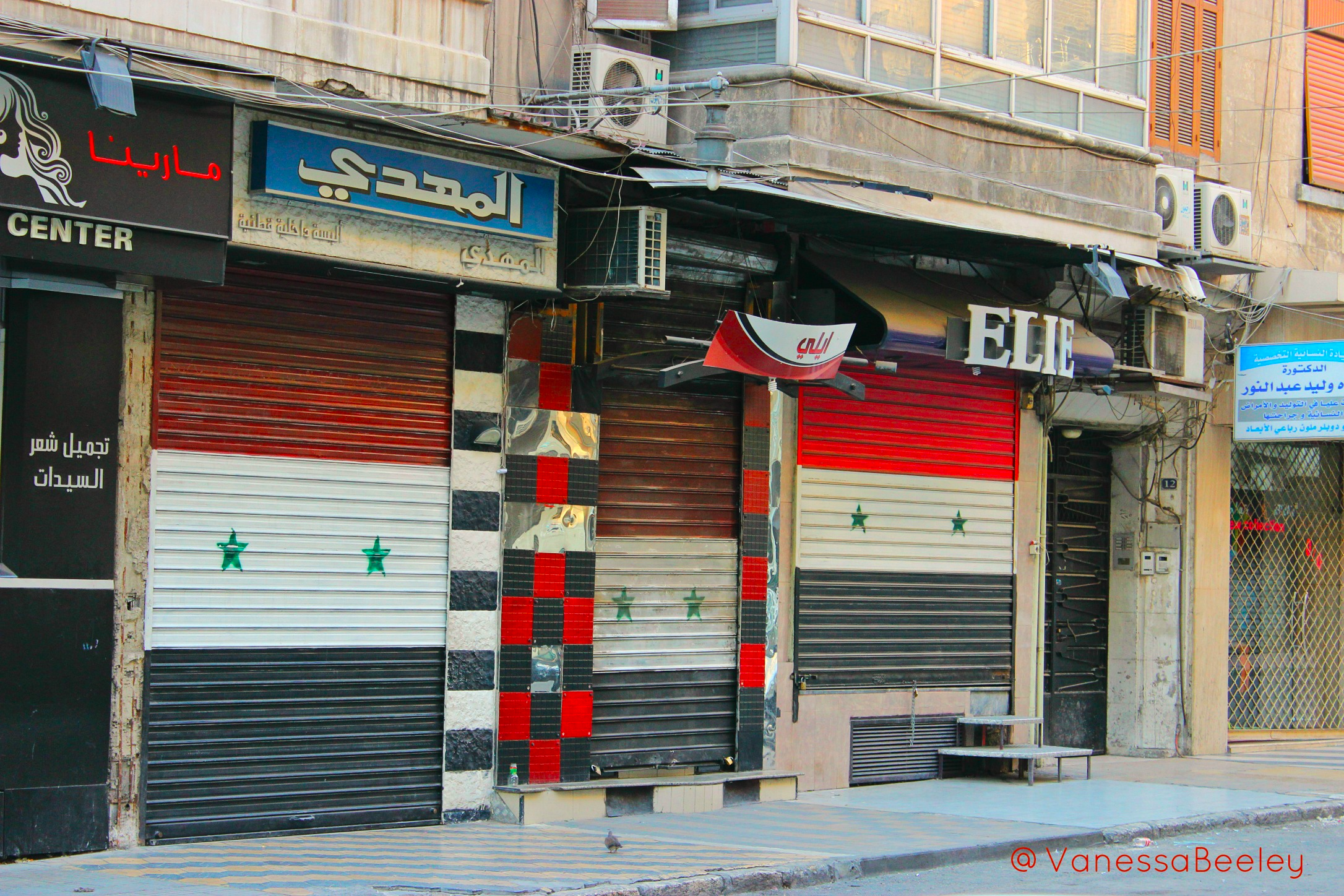 The Syrian flag painted in proud defiance onto storefront shutters in western Aleppo. (Photo: Vanessa Beeley)