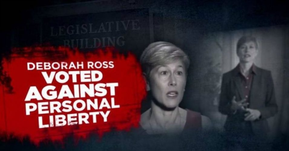 A clip from an NRA ad targeting Democratic Senate candidate Deborah Ross, who is challenging incumbent Republican Richard Burr in North Carolina. (Photo: Screenshot)