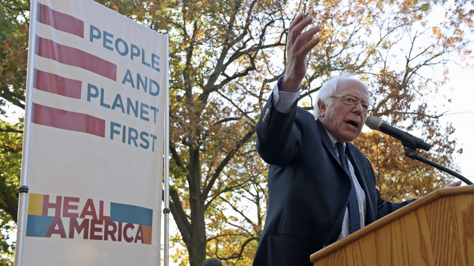 Sen. Bernie Sanders, I-Vt. speaks at a rally on Capitol Hill in Washington, Thursday, Nov. 17, 2016. (AP Photo/Susan Walsh)