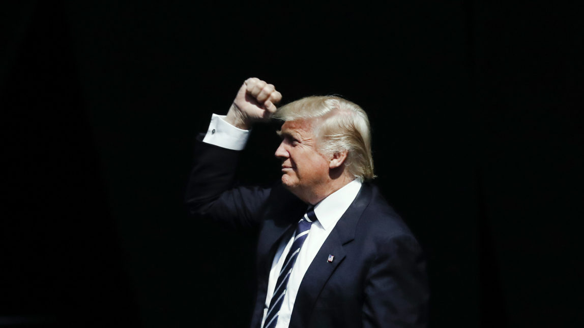 President-elect Donald Trump waves to supporters during a rally in Grand Rapids, Mich., Friday, Dec. 9, 2016. (AP Photo/Paul Sancya)