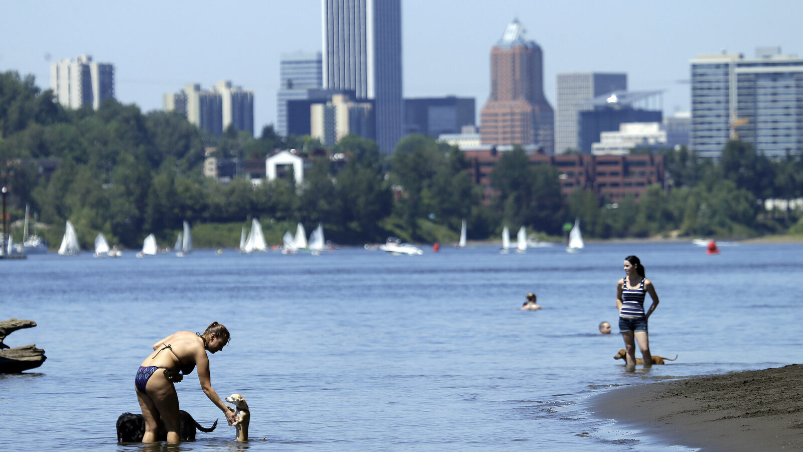 People, pets and sailors use the Willamette River to cool off in Portland, Ore., Monday, July 6, 2015. The city has spent more than $1 billion cleaning up PCB pollution in the river, which is alleged to have been dispersed by Monsanto. (AP/Don Ryan)