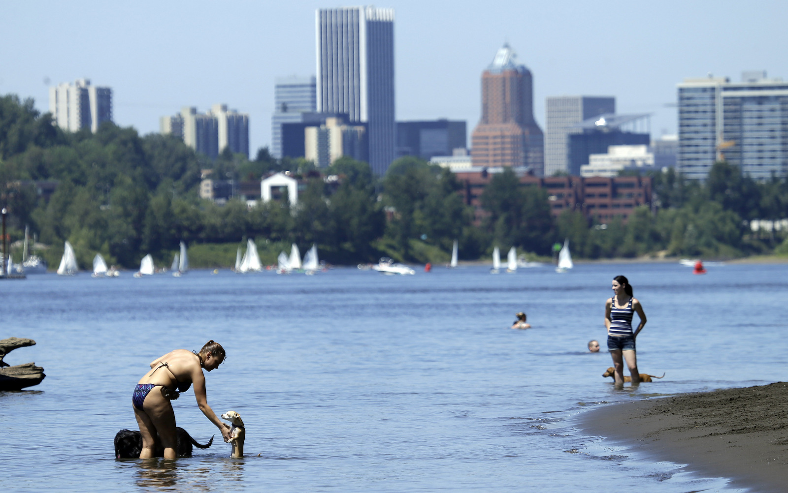 People, pets and sailors use the Willamette River to cool off in Portland, Ore., Monday, July 6, 2015. The city has spent more than $1 billion cleaning up PCB pollution in the river, which is alleged to have been dispersed by Monsanto.  (AP/Don Ryan)